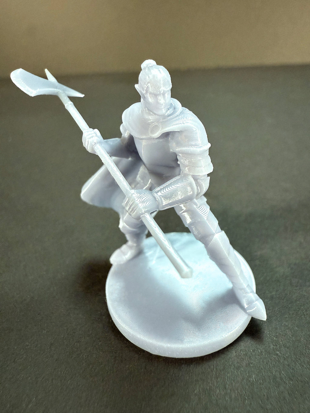 Elf Paladin Starter Set