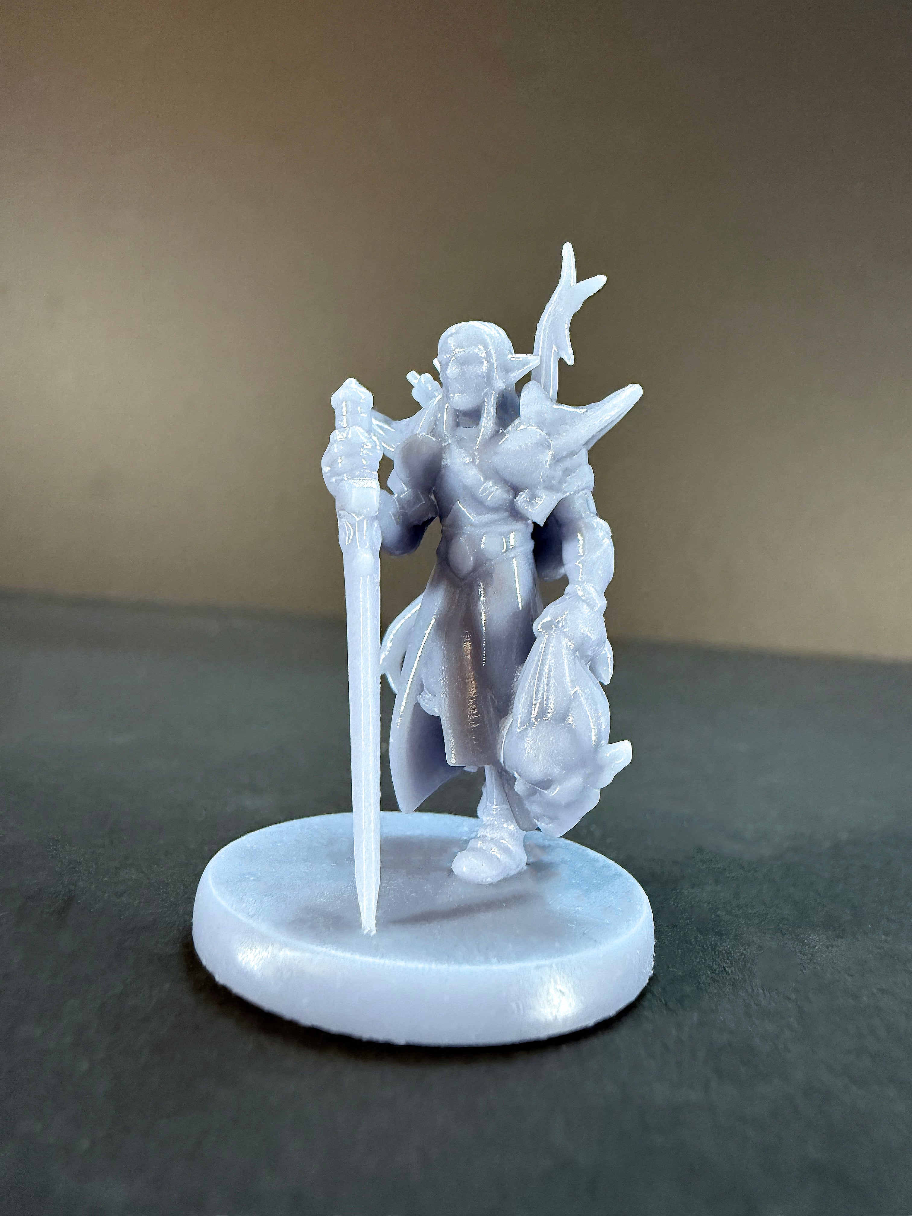 Elf Paladin Starter Set